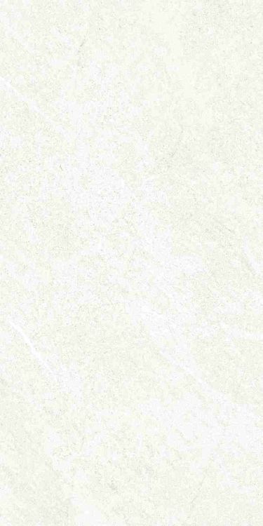Dhara White Matte 12 x 24